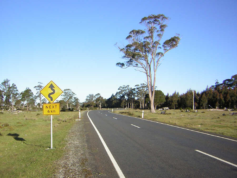  Cradle Mountain Area - Tasmanien Tasmania - Australien Australia 